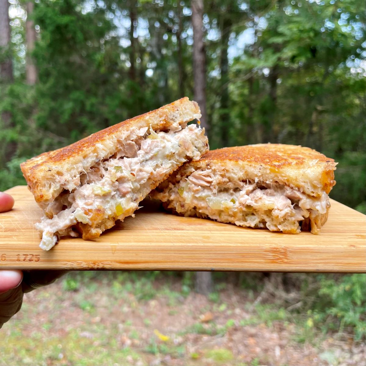 Tuna and Cheese Melt on the Go!