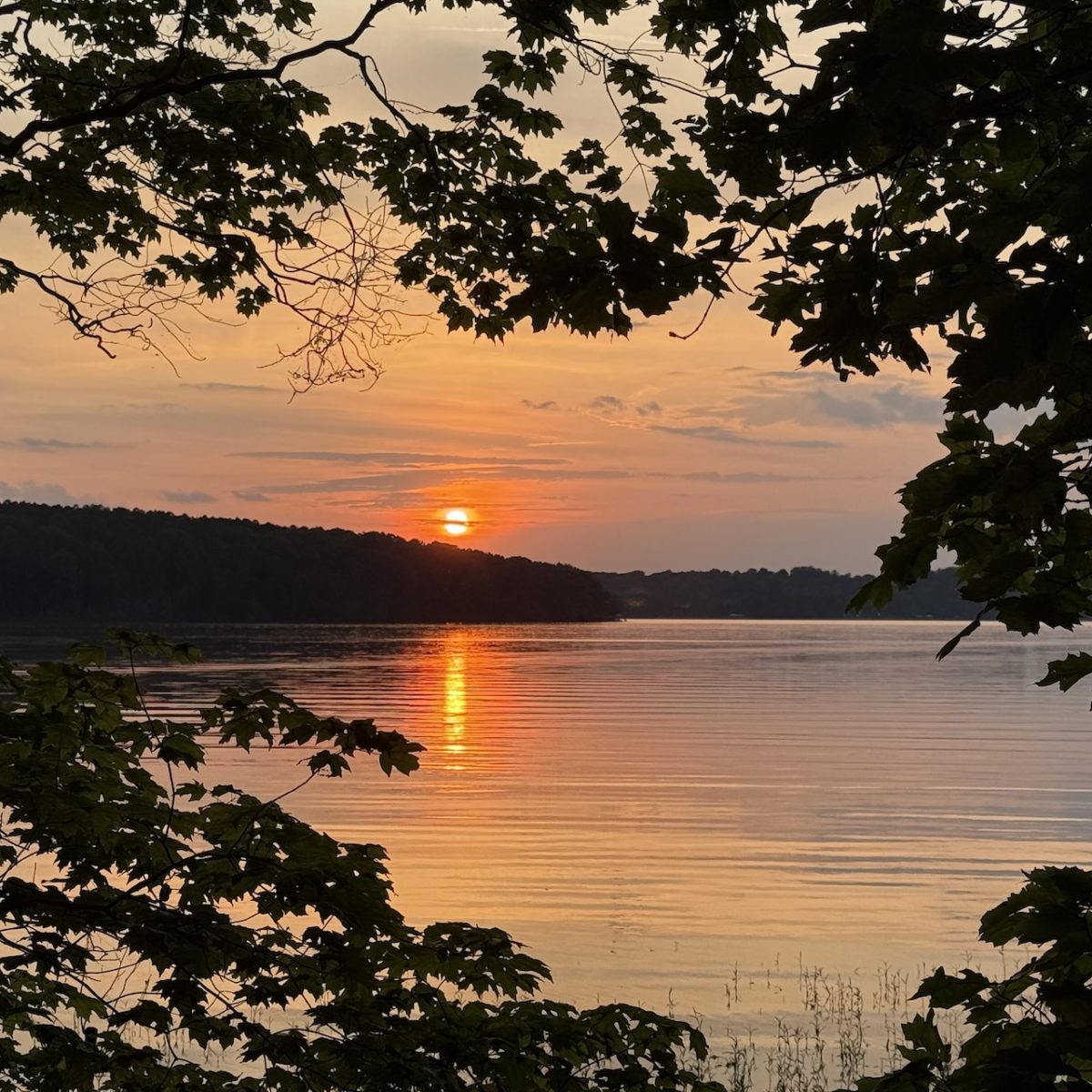 Camping in the Uwharrie National Forest