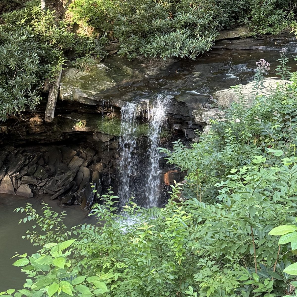 Twin Falls Resort State Park: WV Waterfall Wanderer Trail