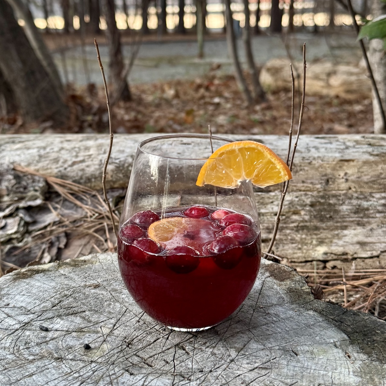 White Wine and Cranberry Spritzer for the Holidays