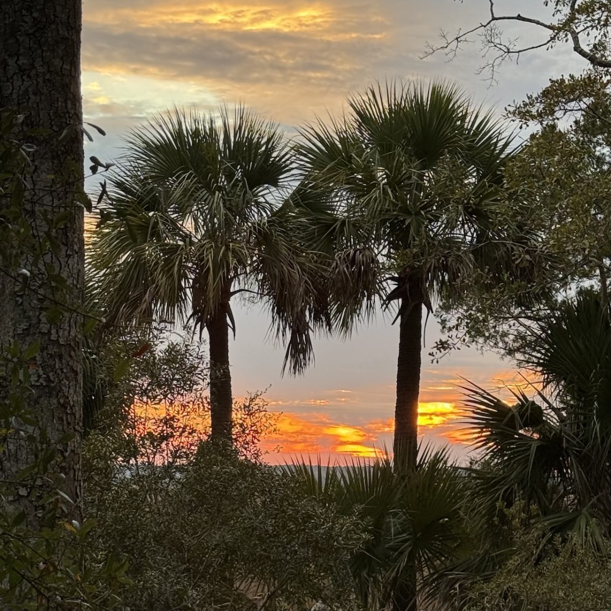 Fort McAllister State Park, GA